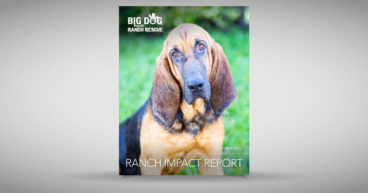 BDRR Ranch Report 2023